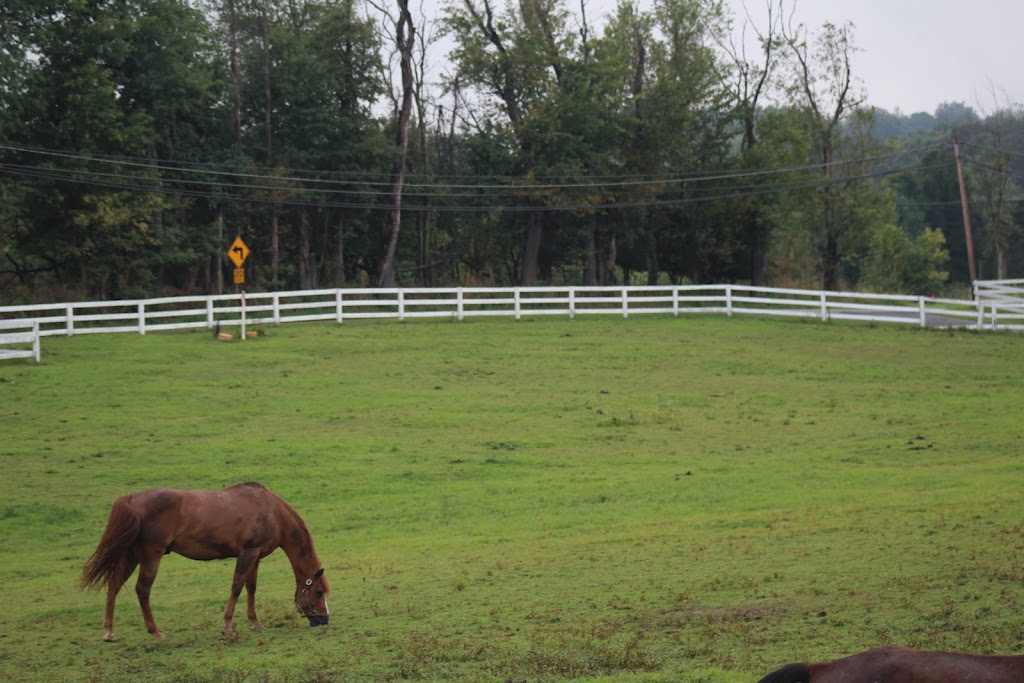 Greenmoor Common Equestrian Center | 255 Georgetown Rd, Canonsburg, PA 15317, USA | Phone: (412) 841-6131