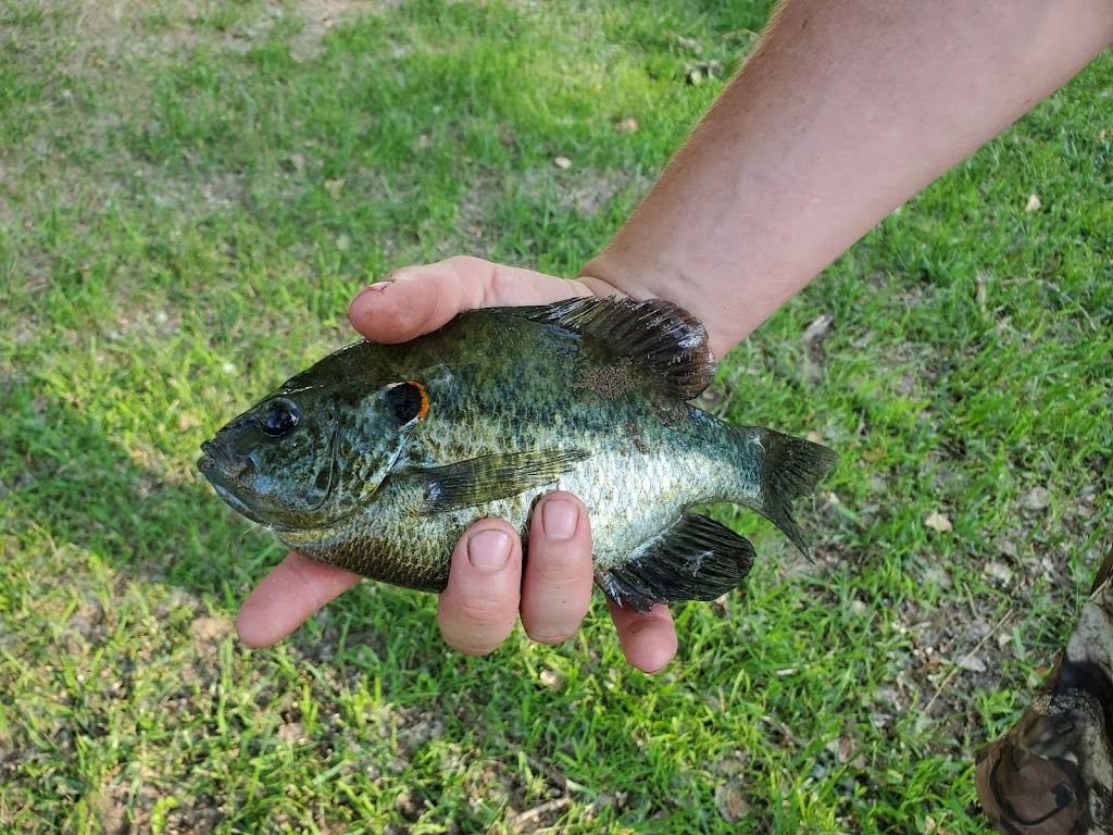 Culvers Fish Farm Inc. | 1316 W Kansas Ave, McPherson, KS 67460, USA | Phone: (620) 241-5200