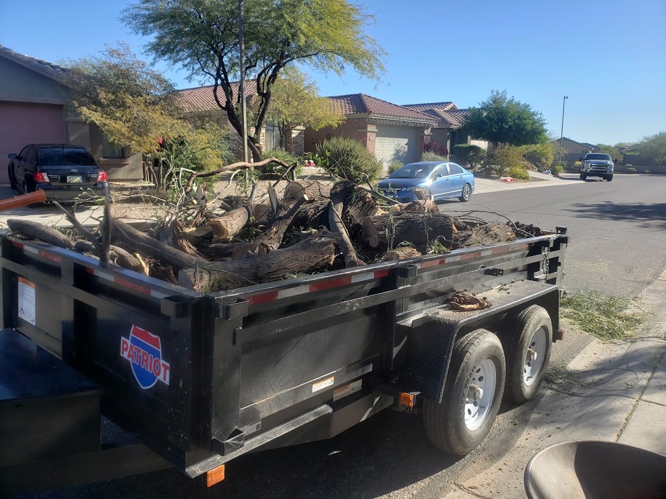 Landscaping Phoenix AZ | 39514 N Messner Way, Phoenix, AZ 85086, USA | Phone: (623) 800-7851