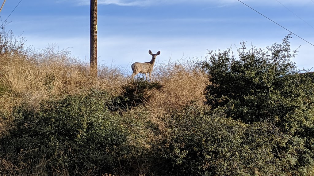 Wildwood Canyon State Park | 12241 Canyon Dr, Yucaipa, CA 92399, USA | Phone: (951) 940-5600