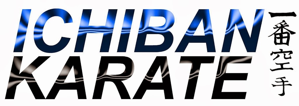 Ichibankarate | YMCA, Reston, VA 20190, USA | Phone: (703) 444-2121