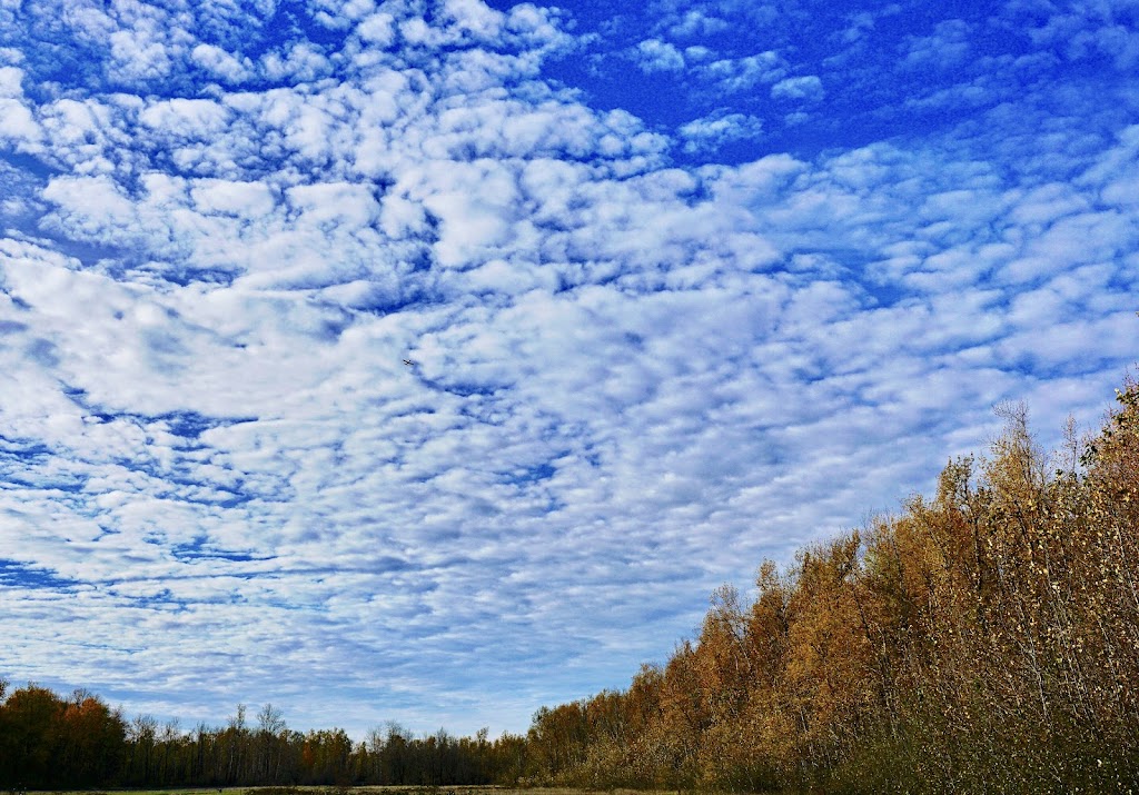 Friends of the Sandy River Delta | Thousand Acres Rd, Troutdale, OR 97060 | Phone: (541) 308-1700