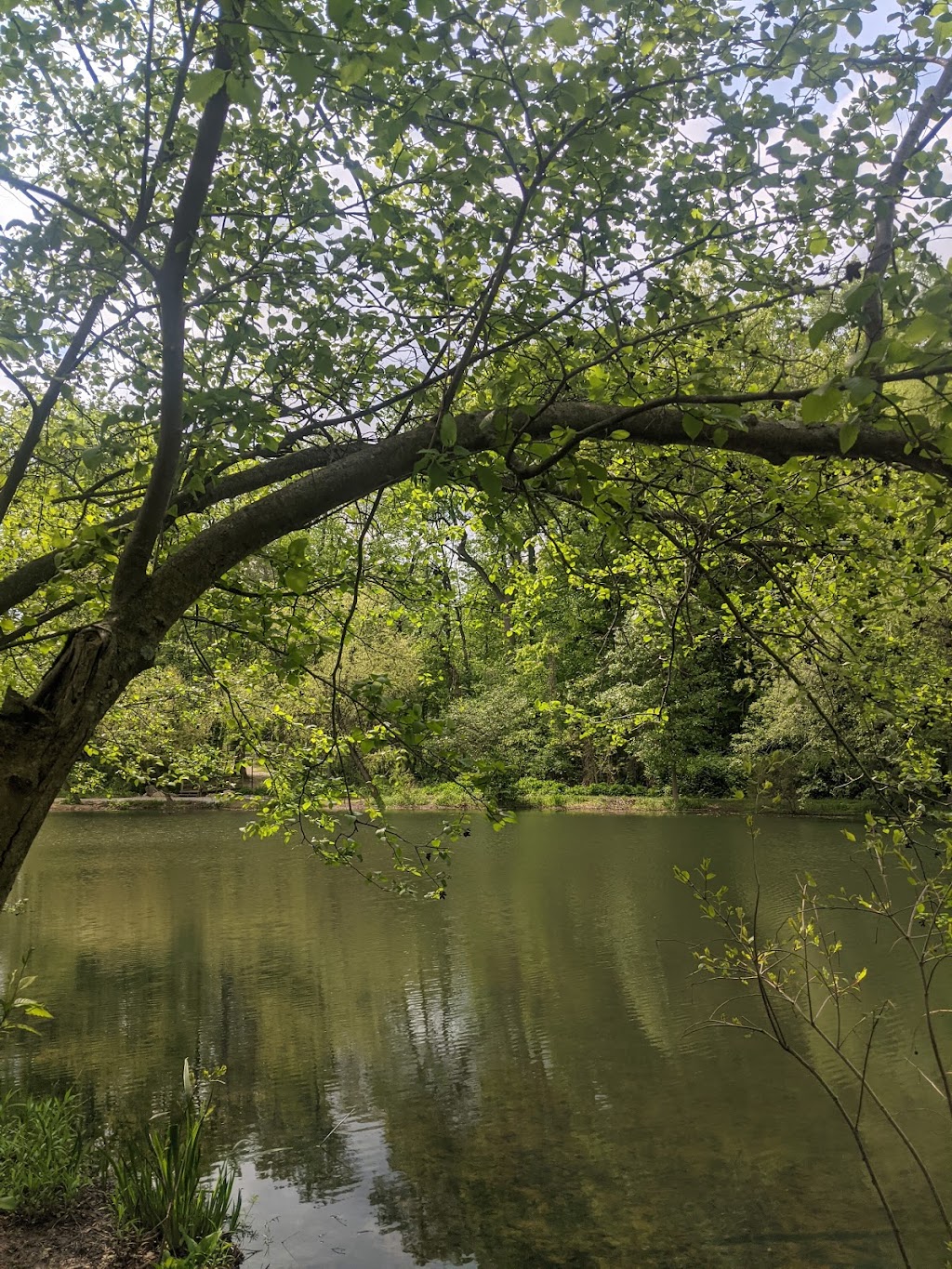 Fenimore Woods | 1194 Eagle Rd, Wayne, PA 19087, USA | Phone: (610) 687-1124