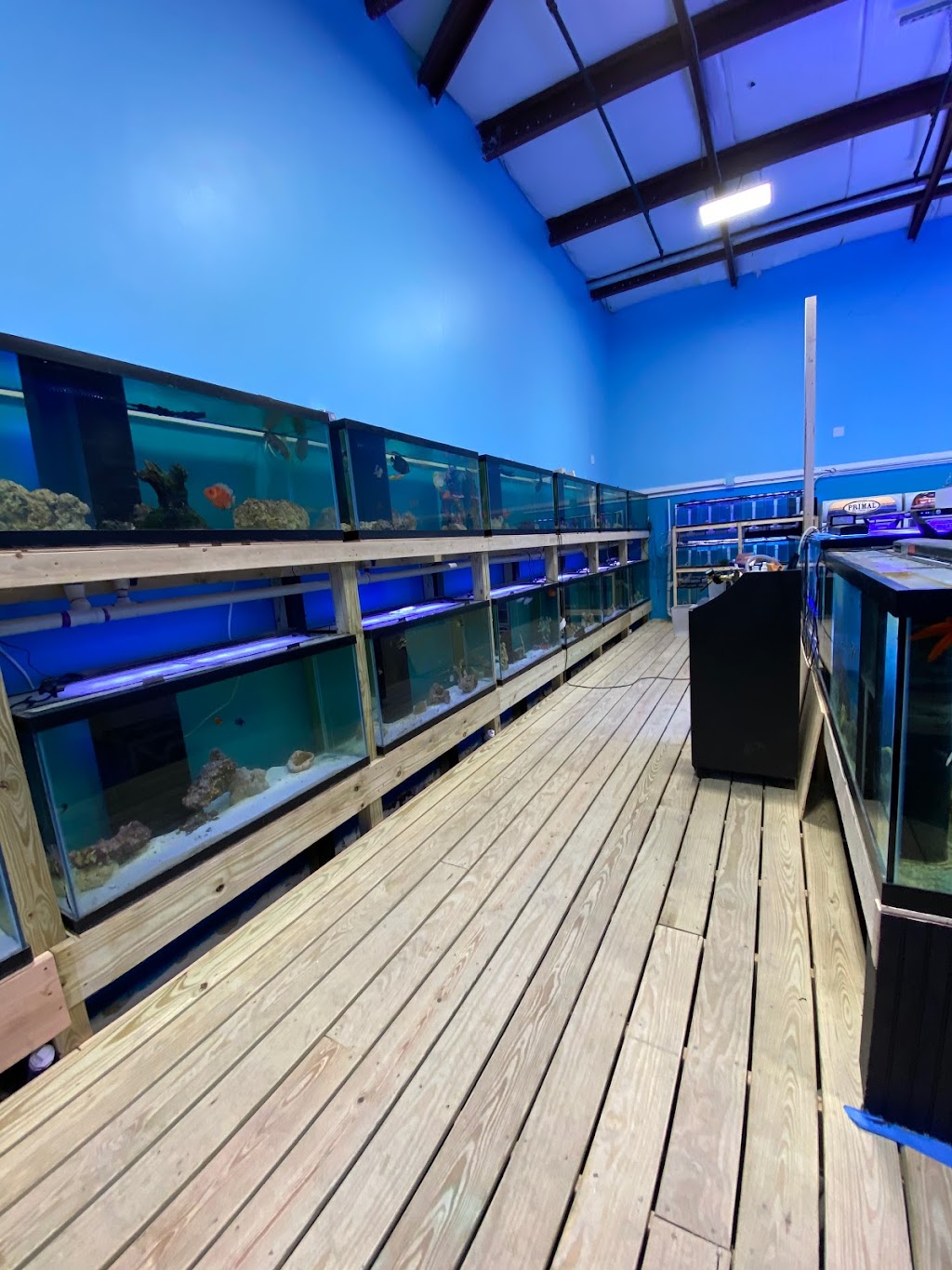 All Things Aquatic LLC | 6 Perry Dr unit b, Foxborough, MA 02035, USA | Phone: (774) 215-3311