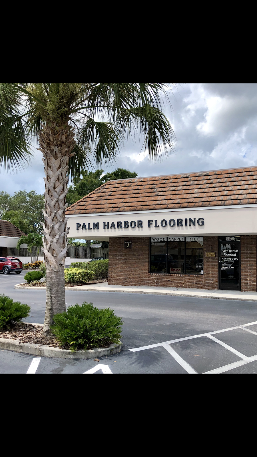 Palm Harbor Flooring | 36452 US Hwy 19 N, Palm Harbor, FL 34684, USA | Phone: (727) 785-3500