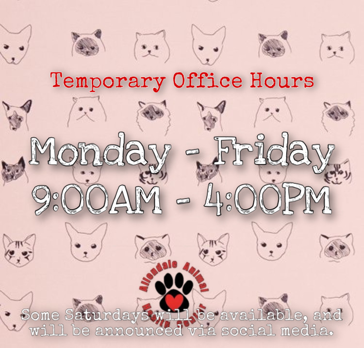 Allendale Animal Health Center | 940 E Osceola Pkwy, Kissimmee, FL 34744, USA | Phone: (407) 348-3444