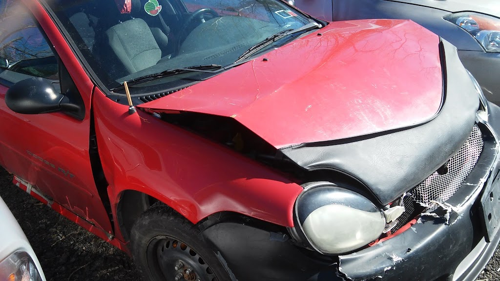 Dott Garage Inc | 1177 Central Ave, Albany, NY 12205, USA | Phone: (518) 459-3404