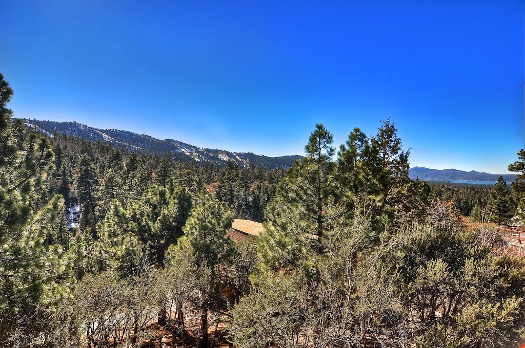 Whistling Woods Stargazer Cabin | 43939 Yosemite Dr, Big Bear Lake, CA 92315, USA | Phone: (909) 966-5667
