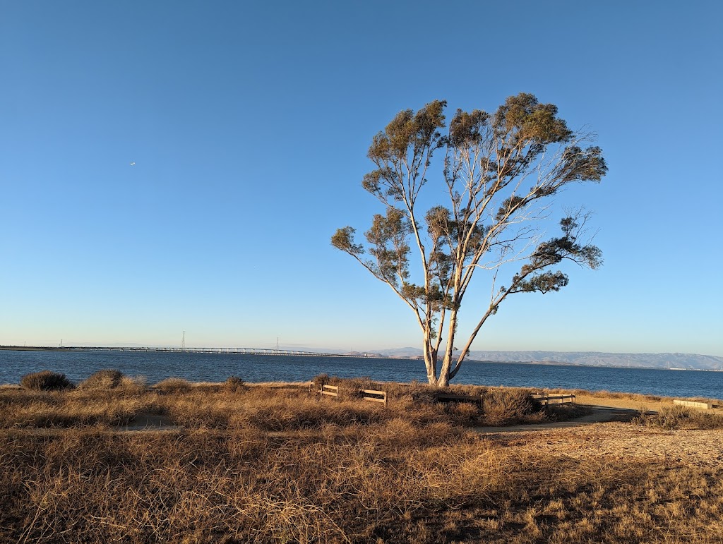 Cooley Landing Park | 2100 Bay Rd, East Palo Alto, CA 94303, USA | Phone: (650) 385-3100