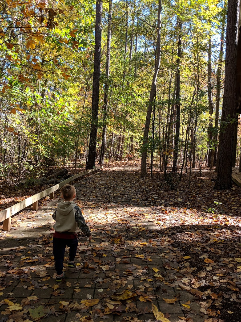 Hemlock Bluffs Nature Preserve | 2616 Kildaire Farm Rd, Cary, NC 27518, USA | Phone: (919) 387-5980