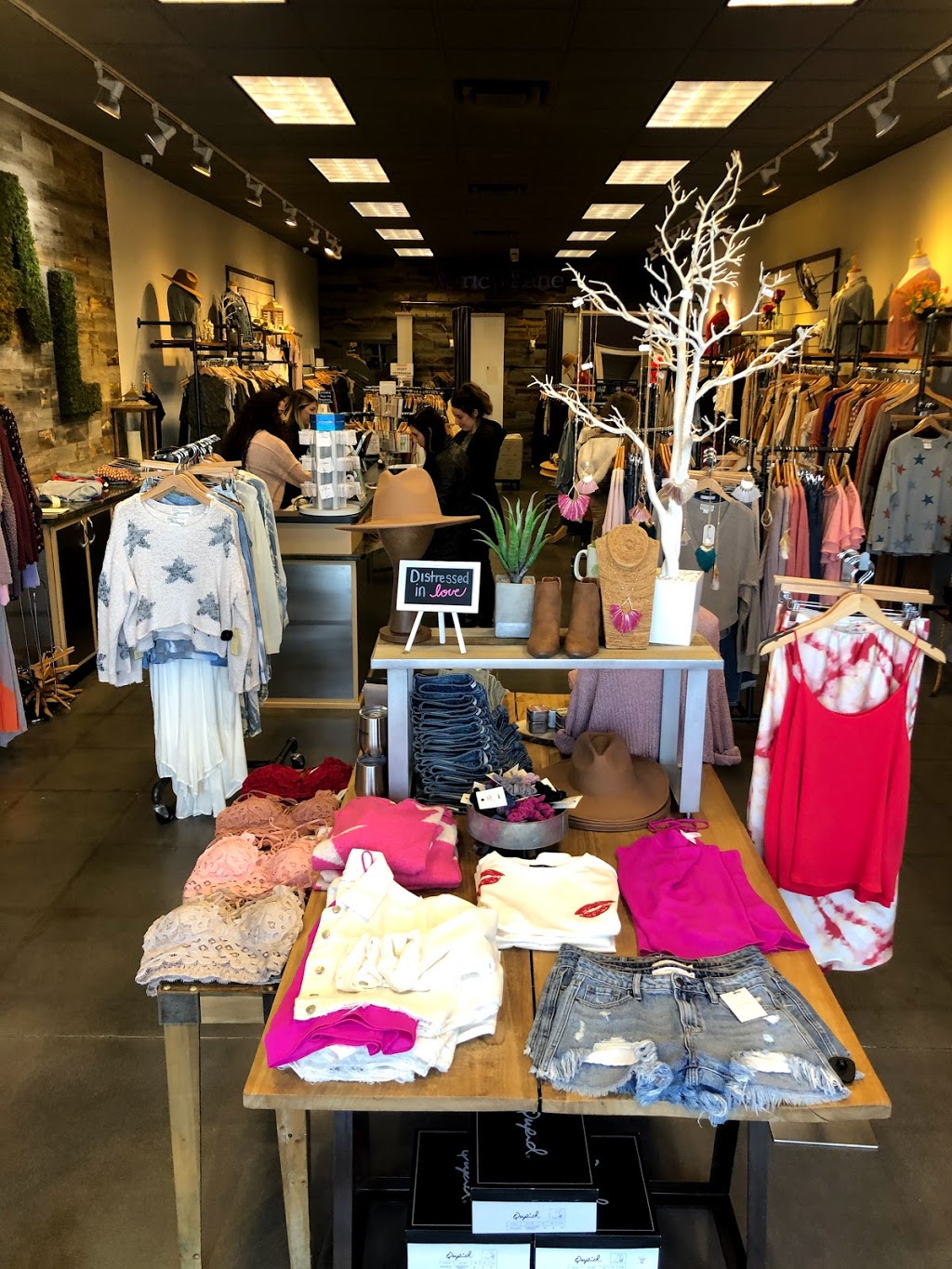 Apricot Lane Boutique | Hilltop Marketplace, 737 First Colonial Rd Ste 305 Ste 305, Virginia Beach, VA 23451 | Phone: (757) 422-5263