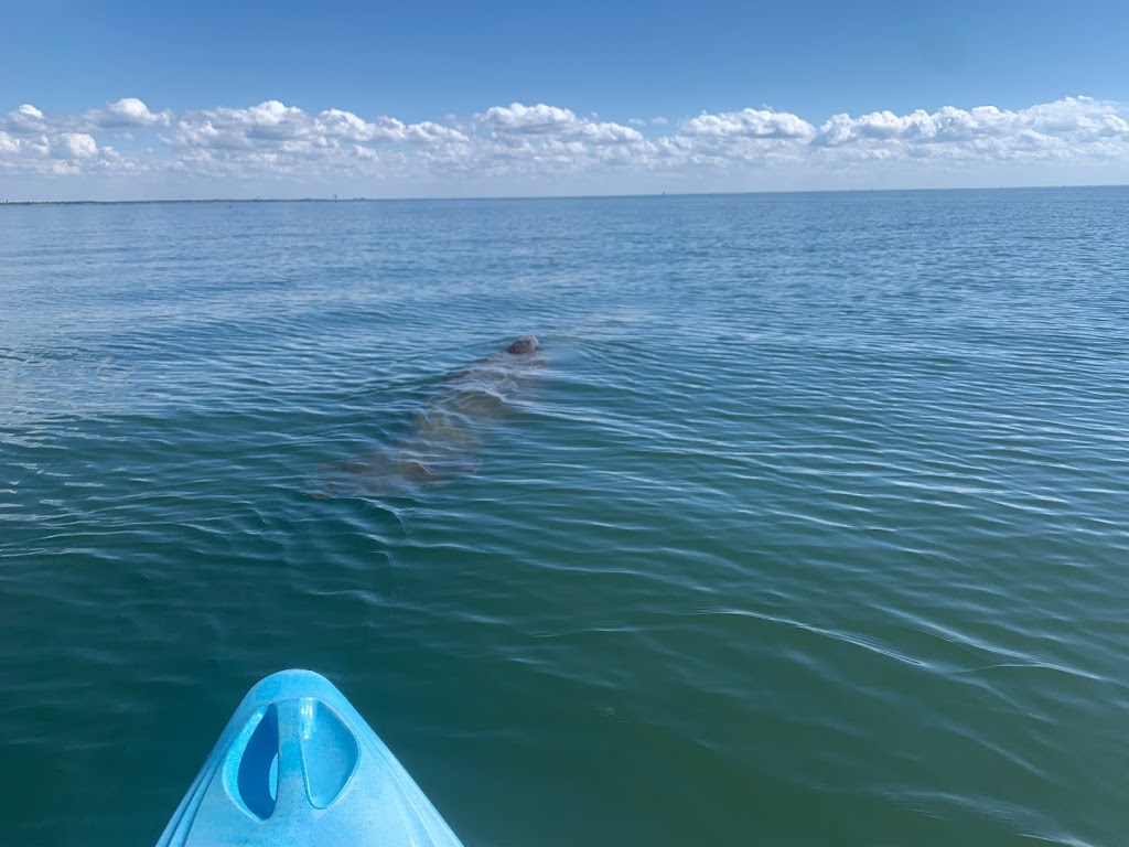 Sandy Feet Mobile Kayak Rental & Tours | 9600 Bay Pines Blvd, St. Petersburg, FL 33708, USA | Phone: (727) 860-8210