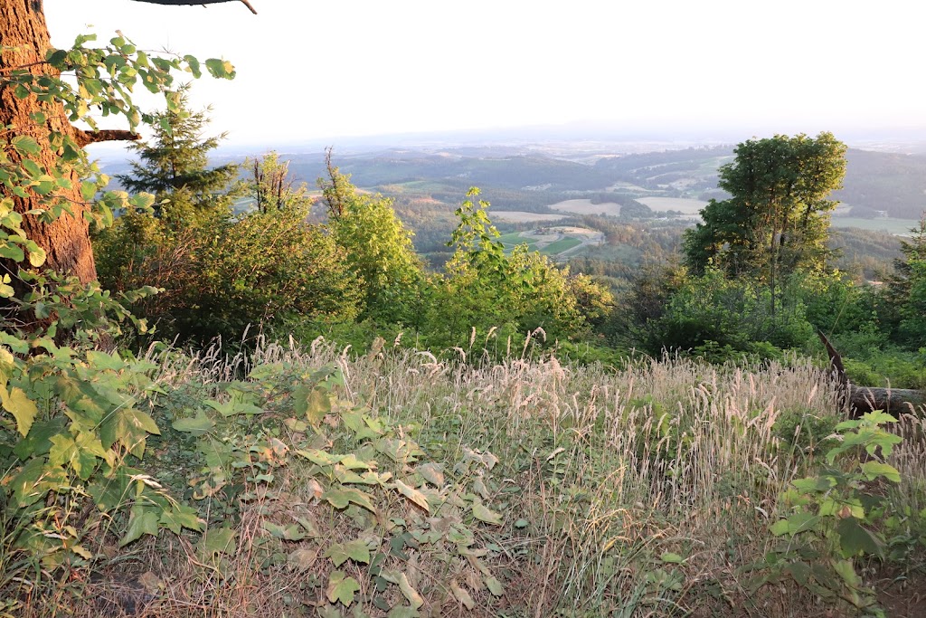 Bald Peak State Scenic Viewpoint | Bald Peak State Scenic Viewpoint, Hillsboro, OR 97123, USA | Phone: (800) 551-6949