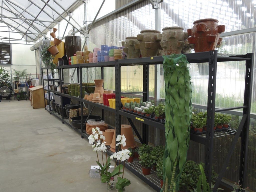 Hawaiian Tropical Plant Sales | 2211 N Beckley Ave, Dallas, TX 75208 | Phone: (972) 243-0181