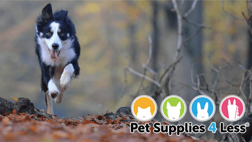 Pet Supplies 4 Less | 713 4th St, Fairbury, NE 68352, USA | Phone: (877) 813-7387