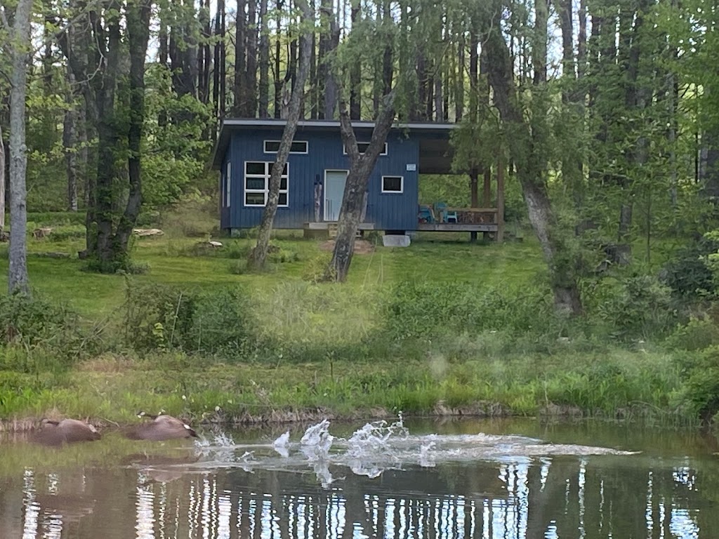 Couples Retreat Spa with Finnish Sauna | 182186 Blue Rdg Pkwy, Meadows of Dan, VA 24120, USA | Phone: (704) 402-0683