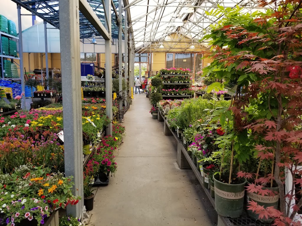 Lowes Garden Center | 2318 Northside Dr, San Diego, CA 92108, USA | Phone: (619) 584-5500