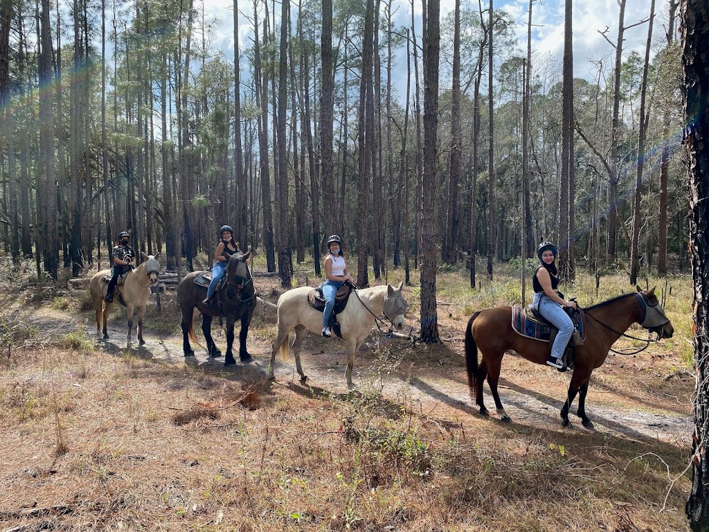 Lake Louisa State Park Tours & Activities | 7305 US-27, Clermont, FL 34714, USA | Phone: (352) 503-4489