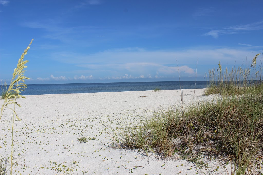 Florida Sun Vacation Rentals | 1825 Sutherland Dr West, Palm Harbor, FL 34683, USA | Phone: (727) 831-1326