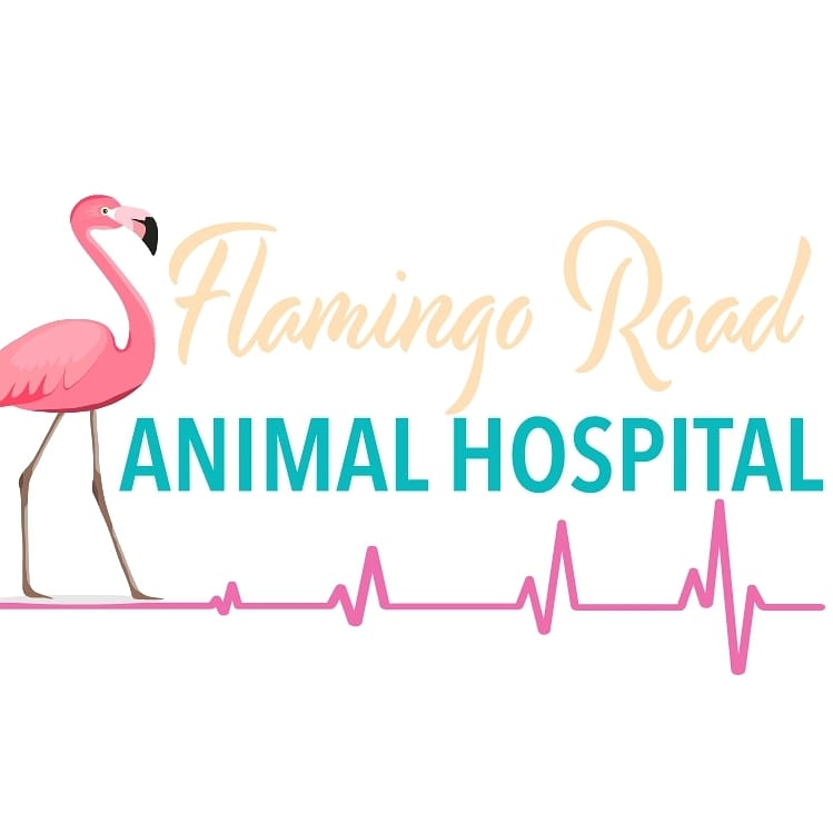 Flamingo Road Animal Hospital | 12280 Miramar Blvd #1, Miramar, FL 33025, USA | Phone: (954) 404-7991