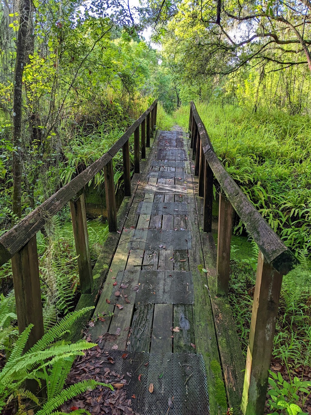 Tenoroc Public Use Area | 3755 Tenoroc Mine Rd, Lakeland, FL 33805, USA | Phone: (863) 606-0093