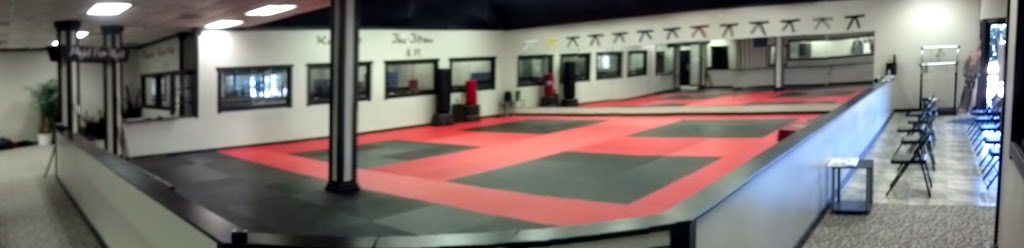 Ultimate Martial Arts Academy | 17565 Central Ave NE #150, Ham Lake, MN 55304, USA | Phone: (763) 434-8621