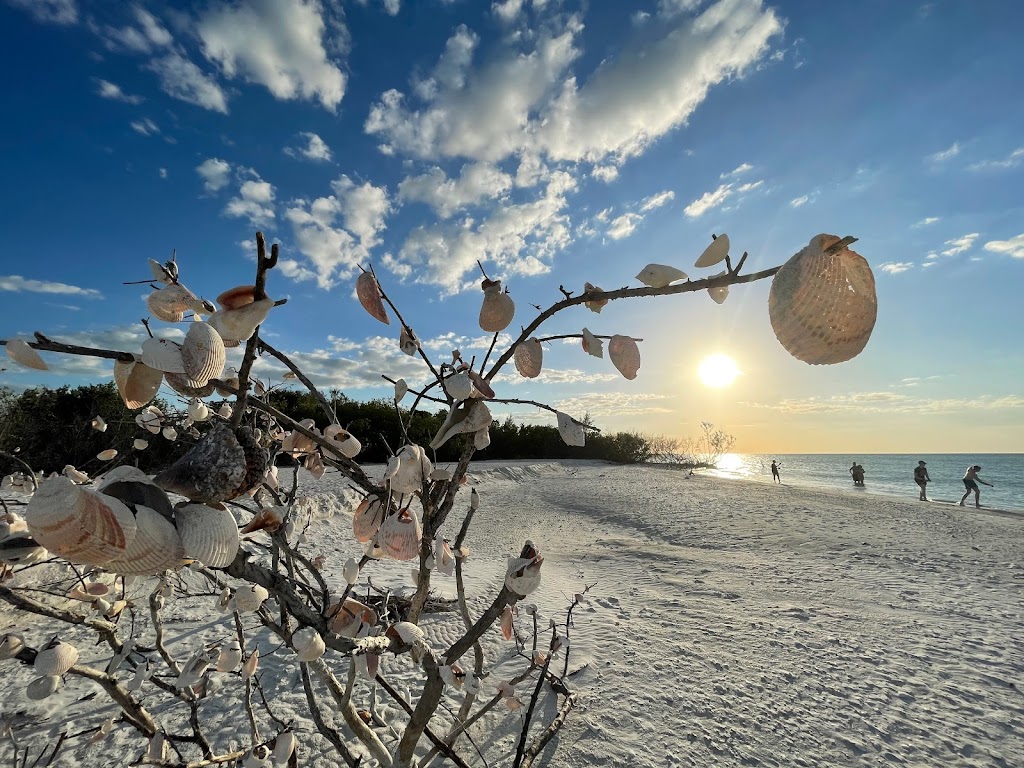 Get Up and Go Kayaking - Shell Key Preserve | 1 Collany Rd, Tierra Verde, FL 33715, USA | Phone: (727) 265-2268