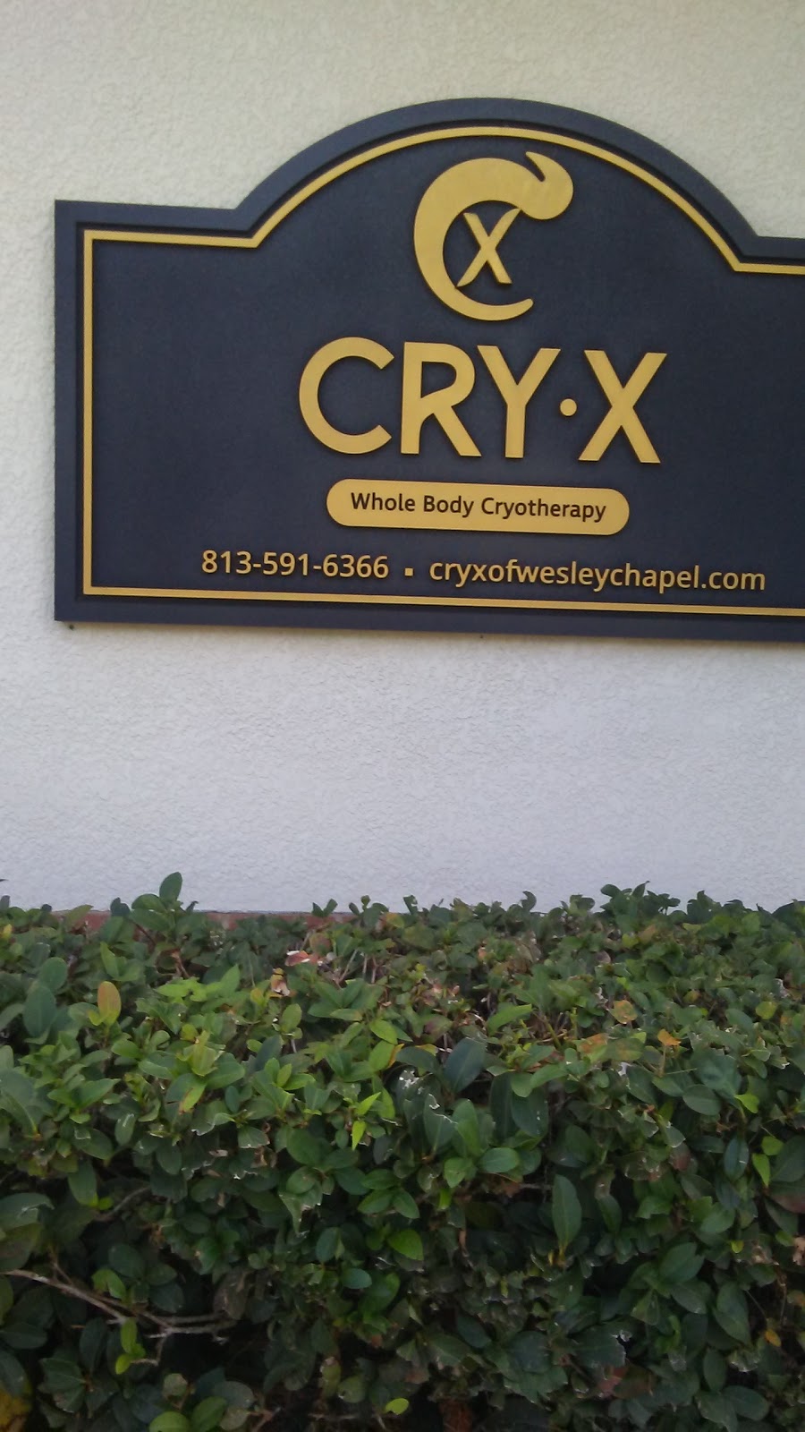 CRY-X Whole Body Cryotherapy & Cryoskin | 3820 Maryweather Ln #101, Wesley Chapel, FL 33544, USA | Phone: (813) 591-6366