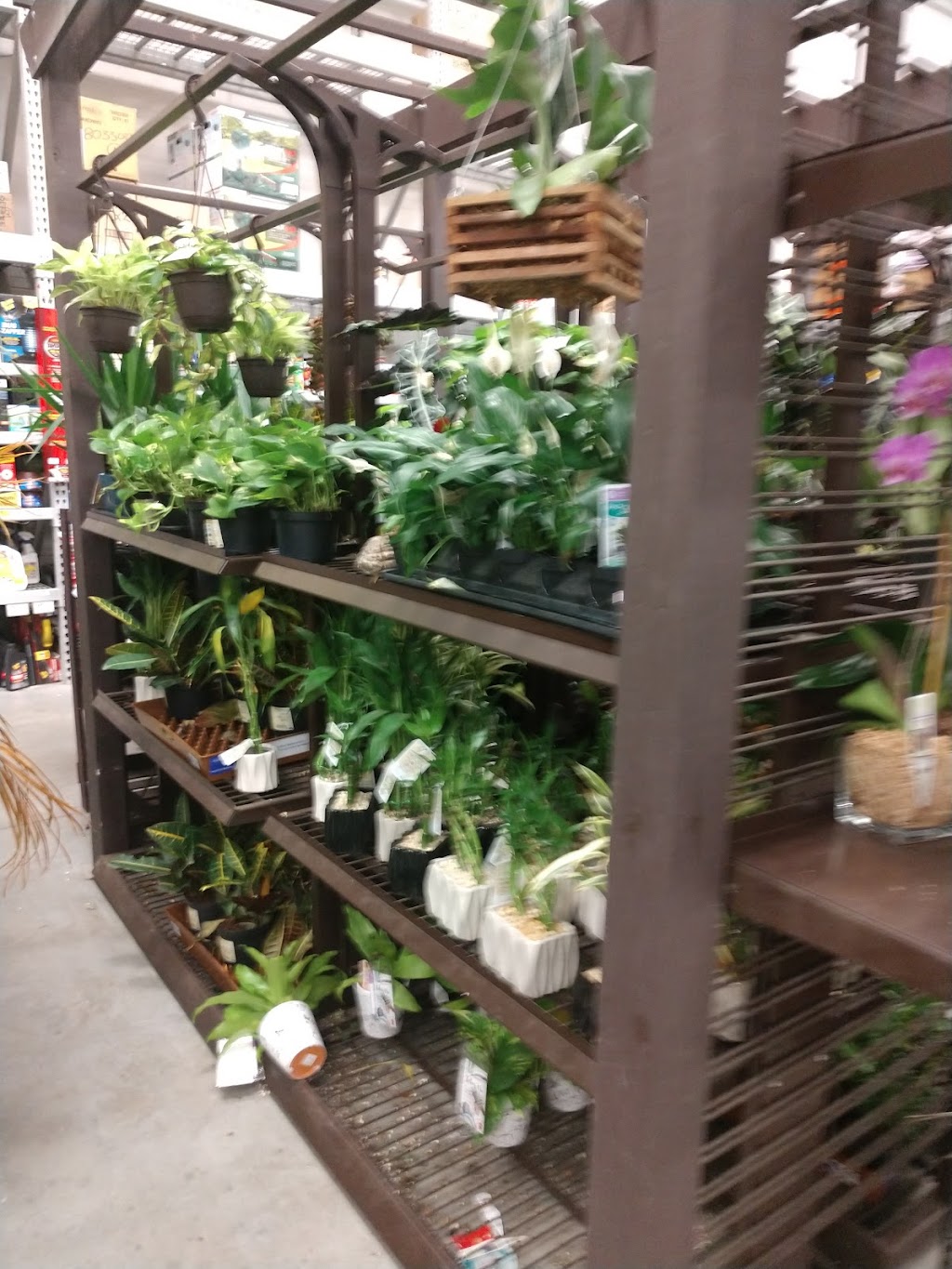 Lowes Garden Center | 5291 US-280, Birmingham, AL 35242, USA | Phone: (205) 981-4100