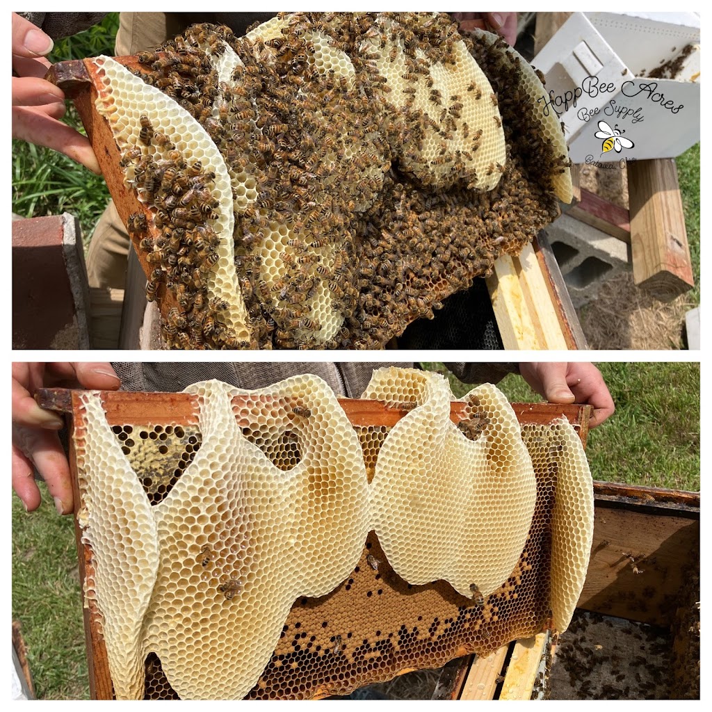 HappBee Acres Bee Supply | 2694 Bergen Rd, Batavia, OH 45103, USA | Phone: (513) 918-1042