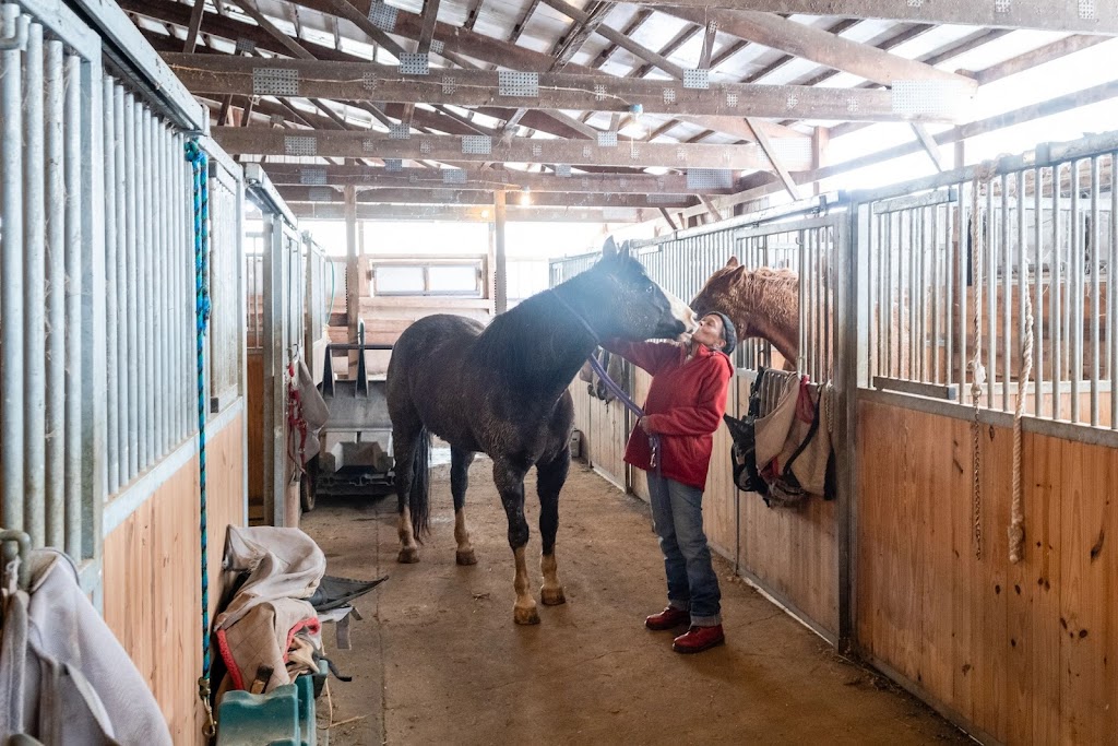 Equine Audio | W9359 Emberson Ln #9670, Blanchardville, WI 53516, USA | Phone: (866) 370-7727