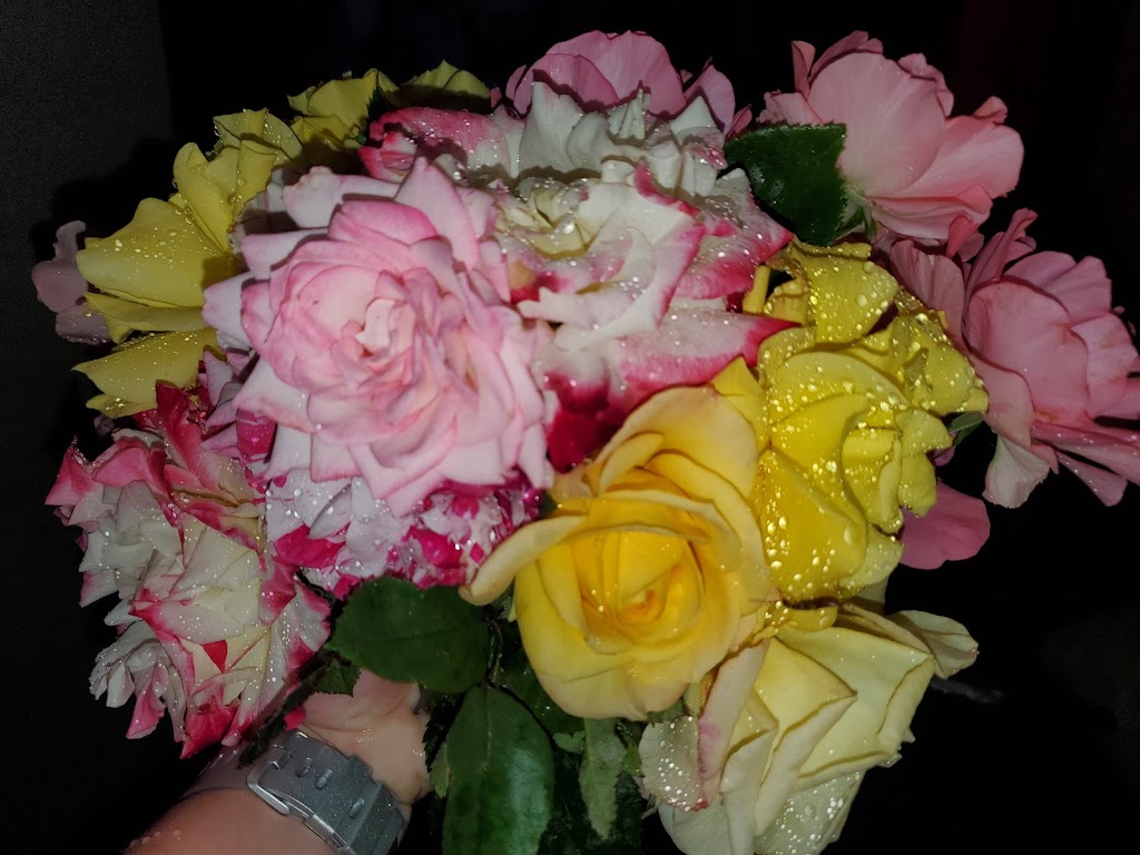 Raft Island Roses | 7201 Rosedale St NW, Gig Harbor, WA 98335, USA | Phone: (253) 509-8409