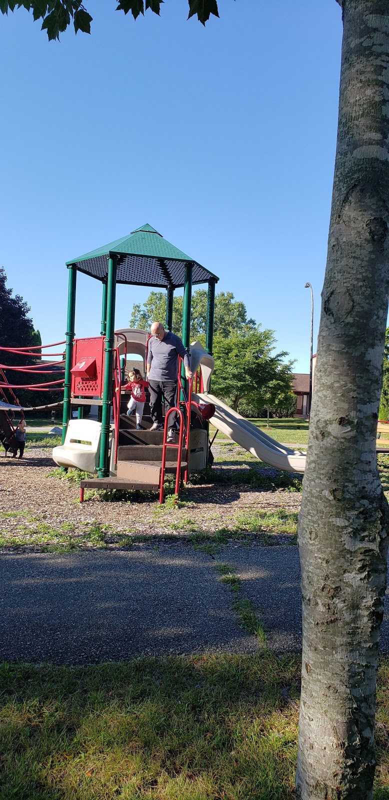 Meadowbrook Park | 2500 S 7th St, Ann Arbor, MI 48103, USA | Phone: (734) 794-6230 Meadowbrook Park | 2500 S 7th St, Ann Arbor, MI 48103, USA | Phone: (734) 794-6230