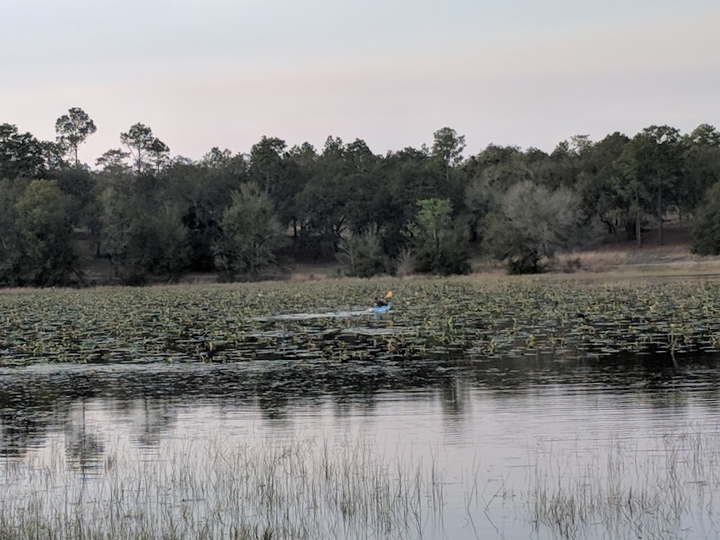 Mike Roess Gold Head Branch State Park | 6239 State Rd 21, Keystone Heights, FL 32656, USA | Phone: (352) 473-4701