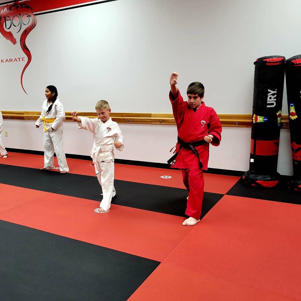 Dojo Karate - Medina | 212 Clydesdale Trail Ste 1020, Medina, MN 55340, USA | Phone: (763) 478-4968