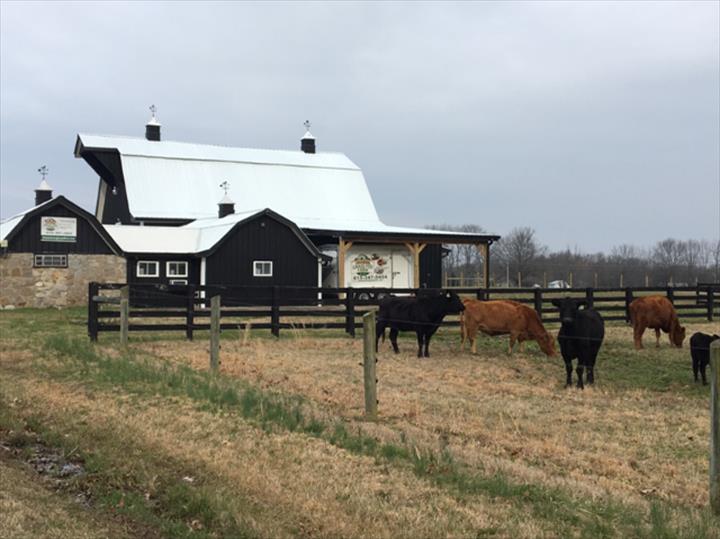 Tennessee Grass Fed Farm | 335 Williams Rd, Clarksville, TN 37043, USA | Phone: (615) 347-5454