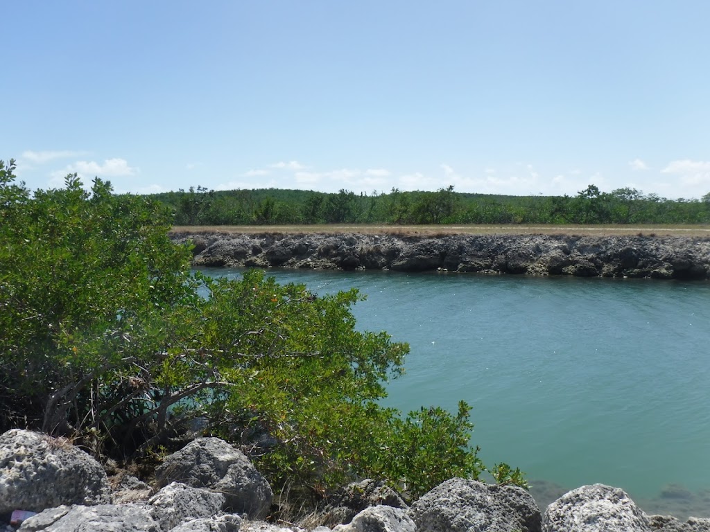 Mangrove Preserve | Homestead, FL 33032, USA | Phone: (305) 230-1144