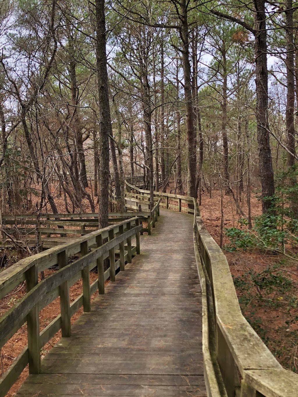 Cape Charles Natural Area Preserve | Cape Charles, VA 23310, USA | Phone: (757) 787-5576