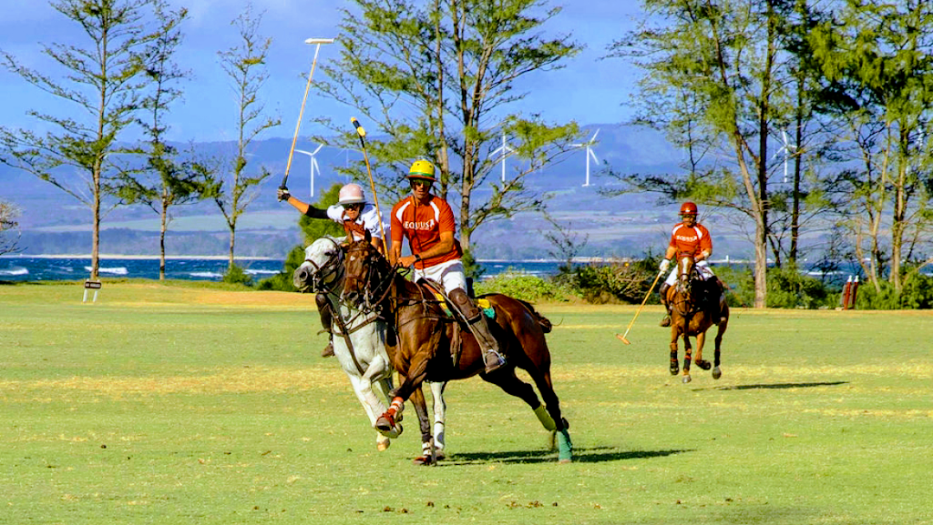 Hawaii Polo Club | 68-411 Farrington Hwy, Waialua, HI 96791 | Phone: (808) 220-5153