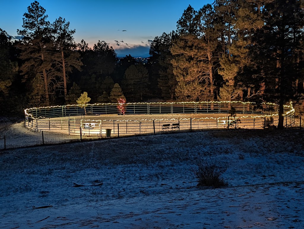Connections Through Horses | 4817 National Western Dr, Denver, CO 80216 | Phone: (303) 646-6166