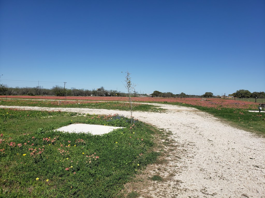 Wildflower RV Park | 121 C R 7712, Devine, TX 78016, USA | Phone: (210) 685-3623