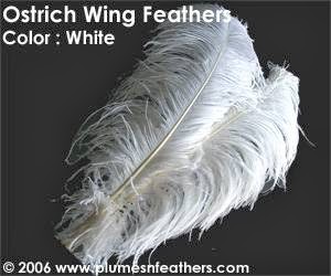 Aashlok Inc. Plumes N Feathers | 13617 12th St d, Chino, CA 91710, USA | Phone: (909) 628-0836