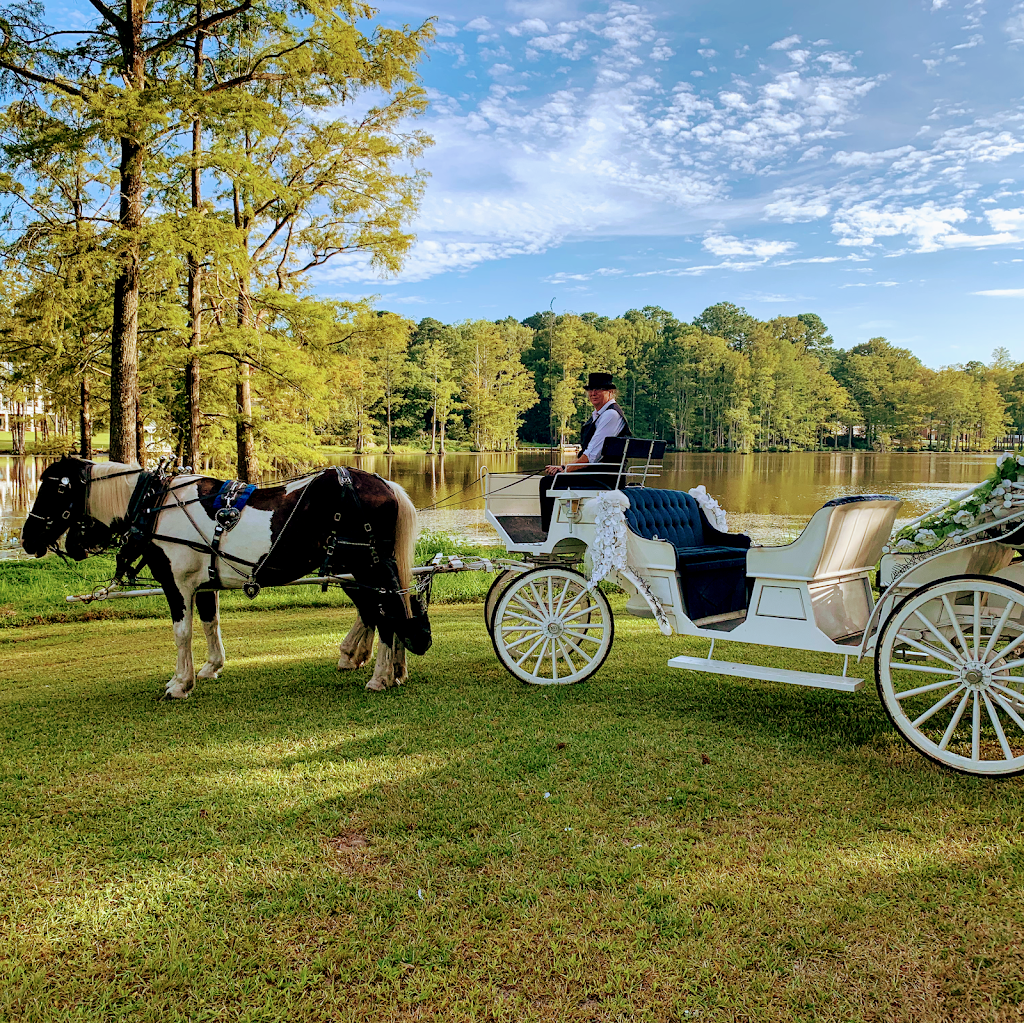 Southern Charm Carriages LLC | 150 Jordan Narron Rd, Selma, NC 27576, USA | Phone: (919) 412-8308