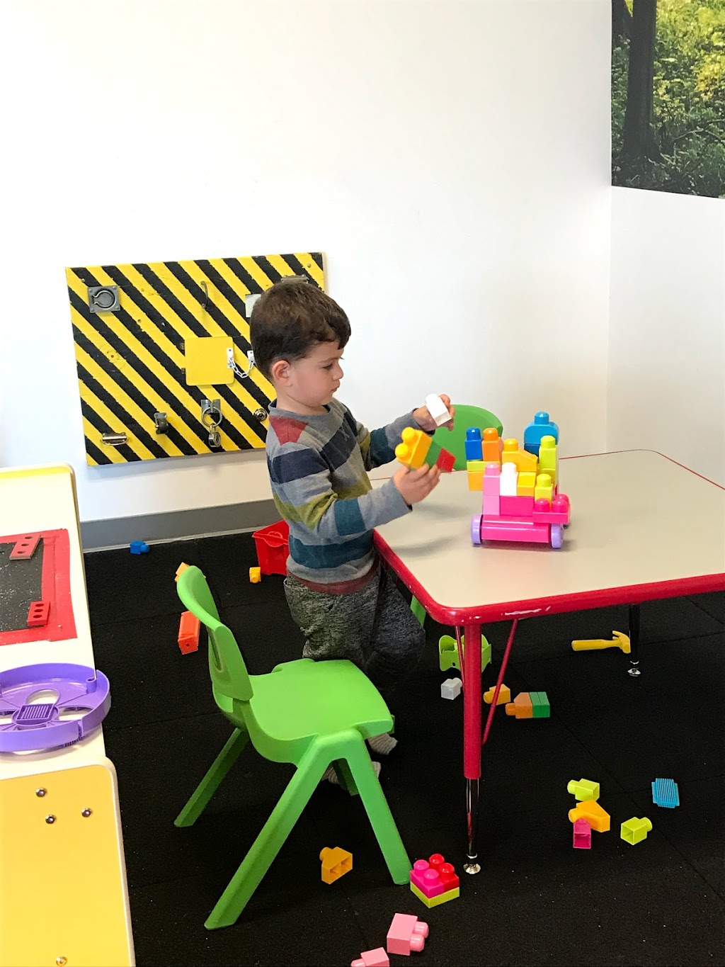 SensationAll Kids Gym | 1770 Willow Pass Rd, Concord, CA 94520, USA | Phone: (925) 798-1888