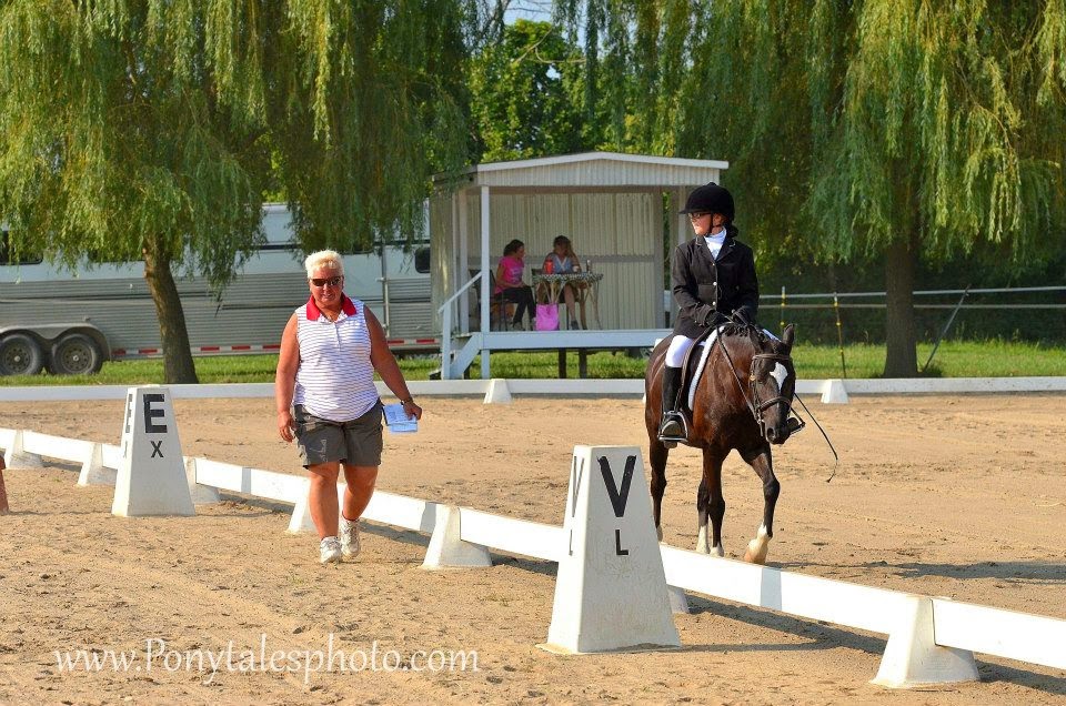 Justamere Equestrian Centre | 56295 Card Rd, Macomb, MI 48042, USA | Phone: (586) 295-1313