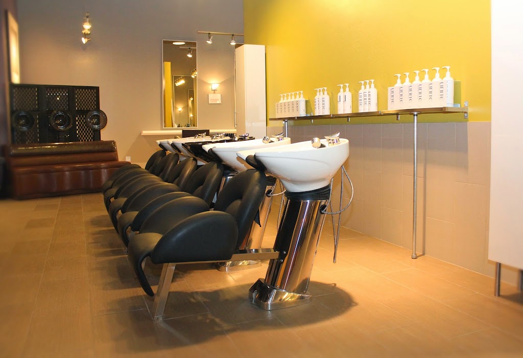 Chace Salon | 16630 W Greenway Rd, Surprise, AZ 85388, USA | Phone: (623) 584-6363