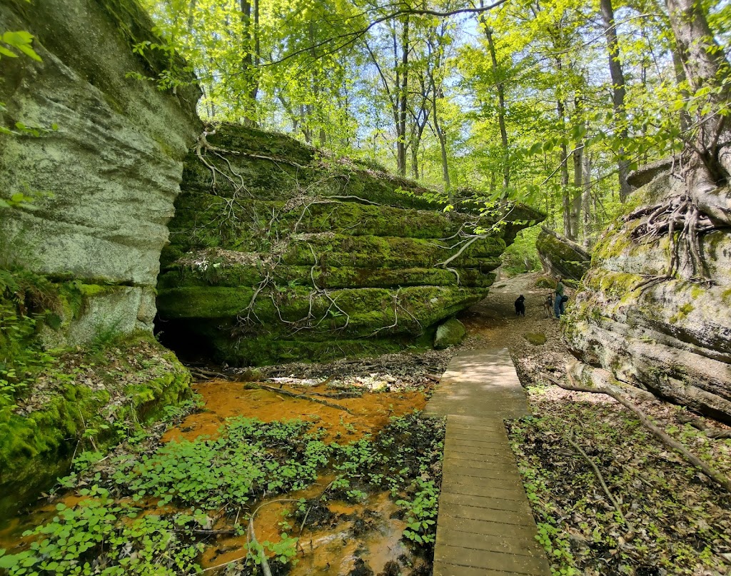 Nelson Ledges Quarry Park | 12001 Nelson Ledge Rd, Garrettsville, OH 44231, USA | Phone: (440) 548-2716