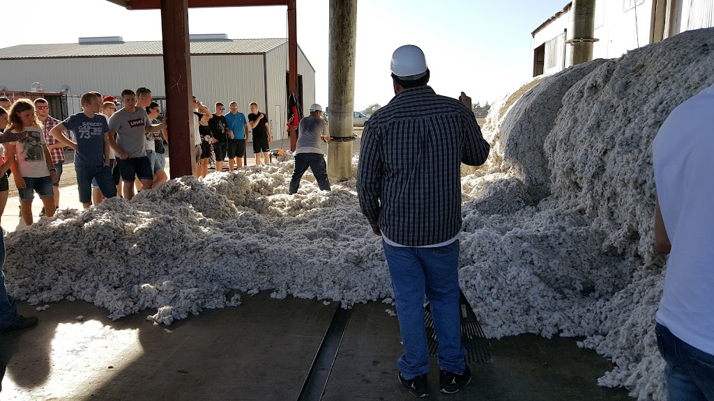 Mid-Valley Cotton Growers Inc | 626 W Cartmill Ave, Tulare, CA 93274, USA | Phone: (559) 686-2823