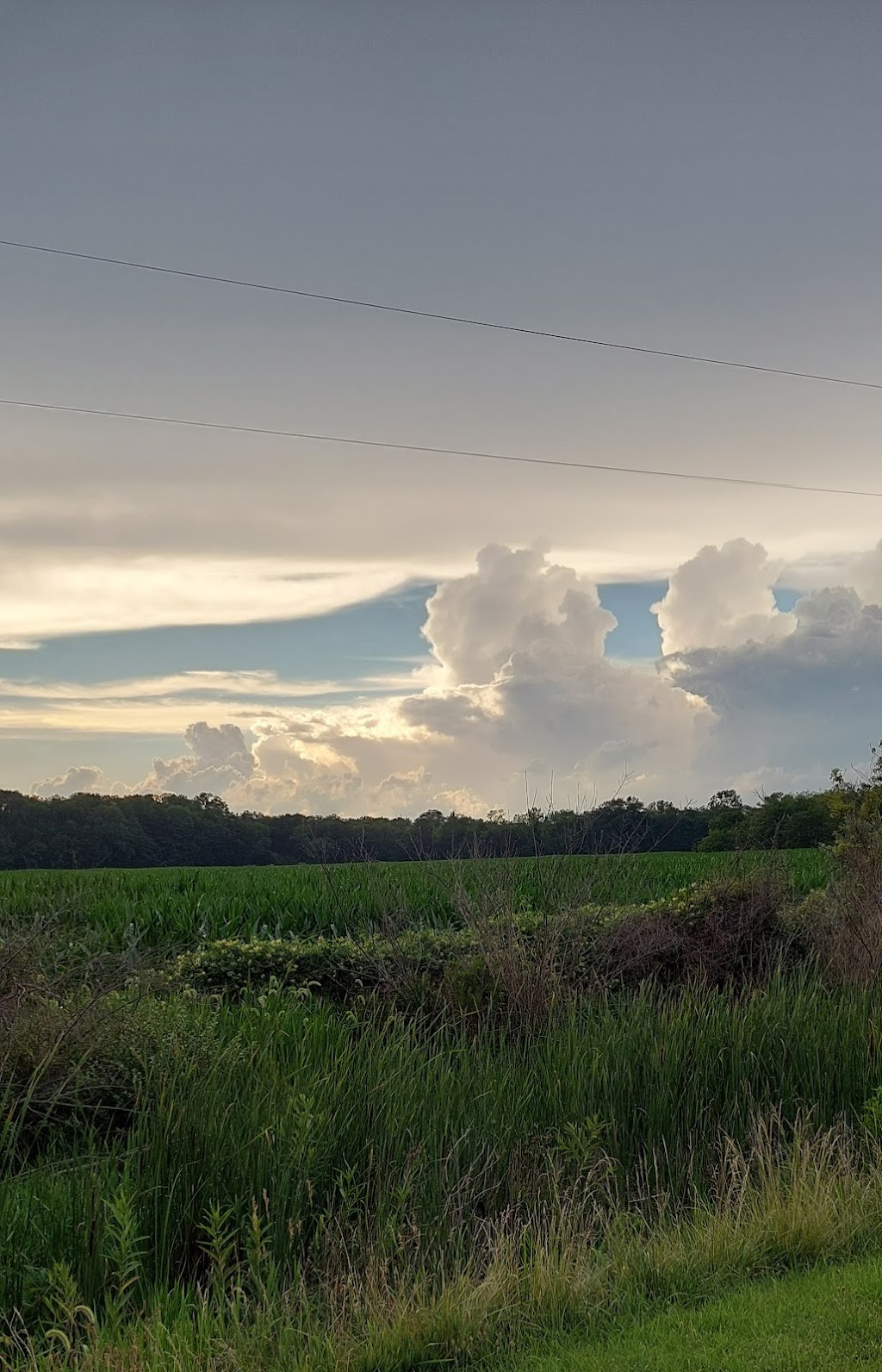 St Clair County Foley Park | 5119 Douglas Rd, Belleville, IL 62220, USA | Phone: (618) 476-1907