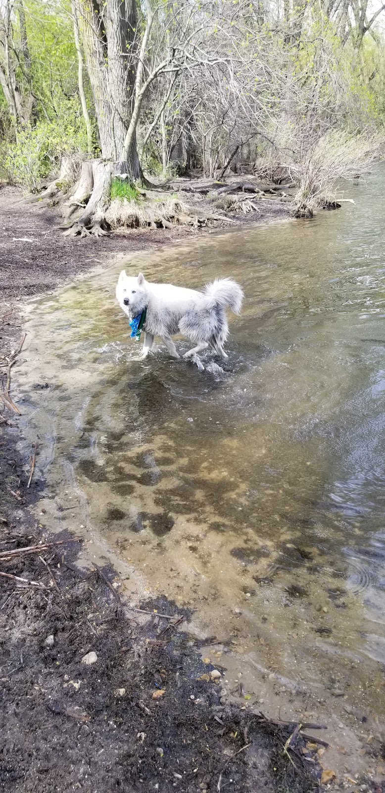 Warner Park Dog Park | 2301 Sheridan Dr, Madison, WI 53704, USA | Phone: (608) 266-4711